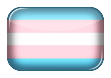 Bir Transseksüel ağ simgesi dikdörtgen düğmesi kırpma yolu 3d illüstrasyon mavi beyaz pembe çizgiler