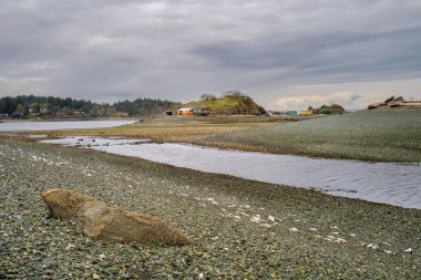 Shack Adası, Pipers Lagoon yakınlarındaki yerel bir Nanaimo simgesi. Kayaları ve vahşi istiridye yataklarını ortaya çıkaran çok alçak bir gelgit sırasında..