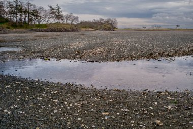 Kanada 'nın Vancouver Adası' ndaki Pipers Lagoon 'da deniz seviyesinin düşmesi sırasında deniz kabukları ve kayalar tuzlu su gölünde açıkta kalır..