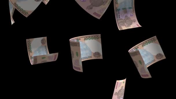 Falling Üzbegisztán Som Money Bankjegy Animation — Stock videók