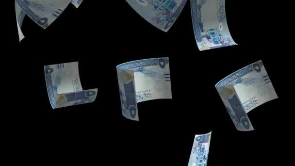 Fallender Bahrainer Geldschein — Stockvideo