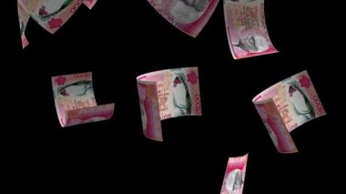 Düşen Mauritius Para Banknotu