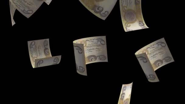 Düşen Irak Para Banknotu — Stok video