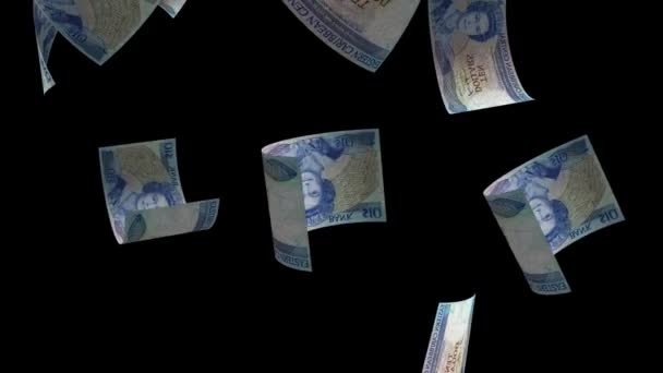 Banconote Denaro Grenada Cadenti — Video Stock