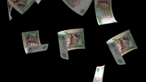 Τραπεζογραμμάτια Χρήματος Της Σρι Λάνκα Που Πέφτουν — Αρχείο Βίντεο
