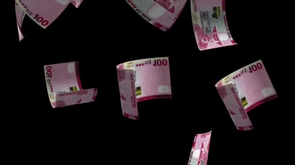 纳米比亚钱币的贬值 — 图库视频影像