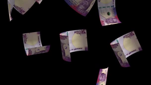 Gevallen Nigeria Geld Bankbiljet — Stockvideo