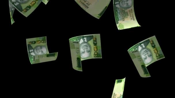Falling Malawi Money Banknote — Vídeo de stock