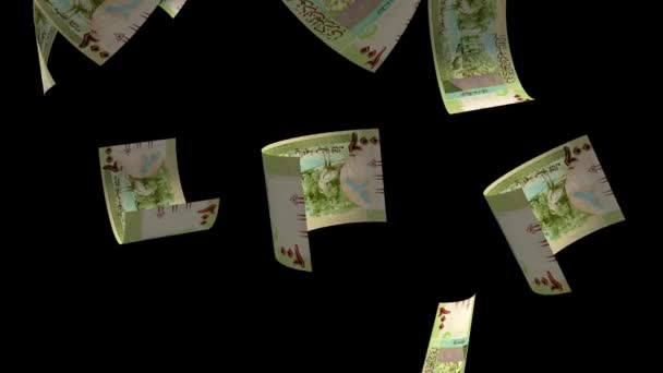 Banconota 200 Sterline Sudan Caduta — Video Stock
