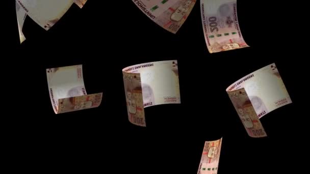 Caindo Suazilândia Eswatini 200 Emalangeni Dinheiro Notas — Vídeo de Stock
