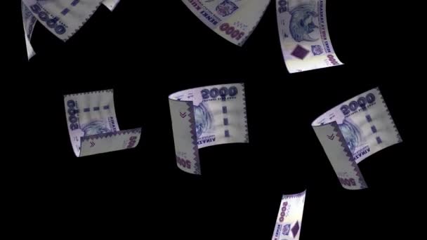 Falling Tanzánia 5000 Shillings Pénz Bankjegy — Stock videók