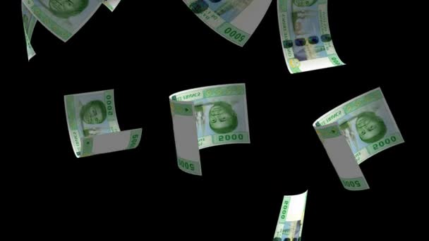 Padající 500 Západoafrických Bankovek Cfa Money — Stock video