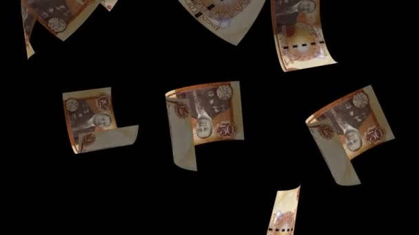 Spadające Tonga Paanga Banknot Pieniężny — Wideo stockowe