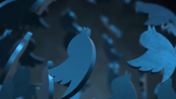 Rotating Twitter Logo — Stock Video