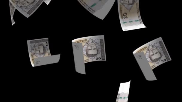 Düşen Bosna Para Banknotu Animasyon Arkaplanı — Stok video