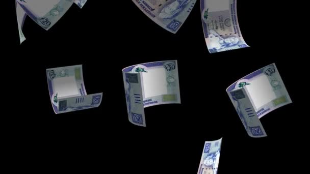Caída Chipre Dinero Fondo Animación Billetes — Vídeos de Stock