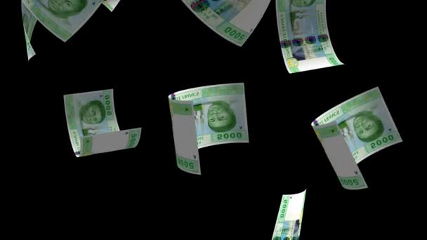 Falling Gambia Money Banknote Animation Background — Video Stock