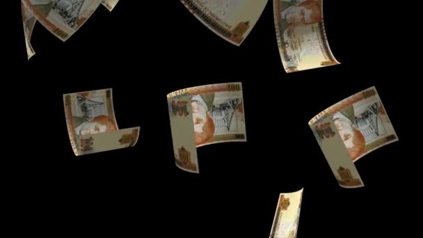 Spadające Honduras Pieniądze Banknot Animacja Tle — Wideo stockowe