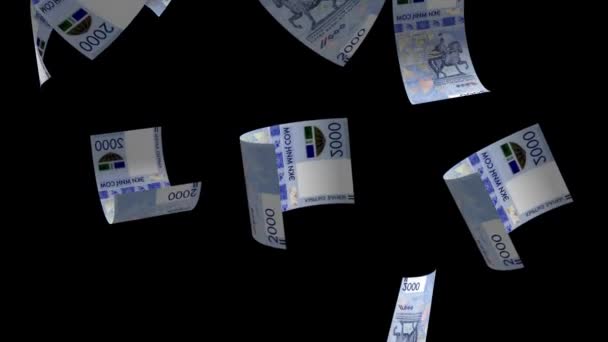 Падающий Кыргызстан Денежные Банкноты Фон Анимации — стоковое видео