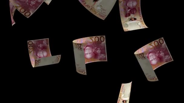 Falling Lesotho Money Bankjegy Animációs Háttér — Stock videók