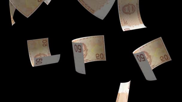 Vallende Nederlandse Geld Bankbiljet Animatie Achtergrond — Stockvideo