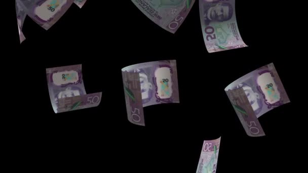 Padající Nový Zéland Peníze Bankovky Animace Pozadí — Stock video