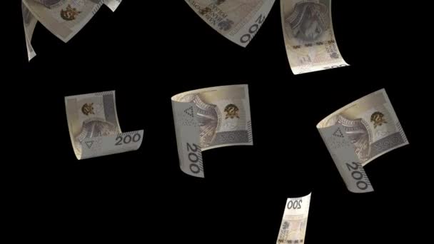 Spadająca Polska Pieniądze Banknot Animacja Tle — Wideo stockowe