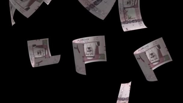 Falling Saudi Arabia Banknote Animation Background — Stock Video