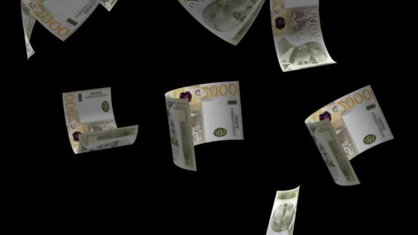 Πτώση Του Πλαισίου Κίνησης Τραπεζογραμματίων Χρήματος Της Σερβίας — Αρχείο Βίντεο