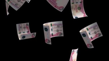 Birleşik Arap Emirlikleri Düşen Para Banknotları Animasyon Arkaplanı