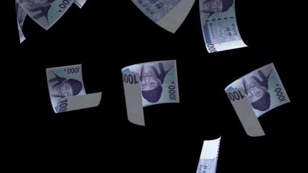 Πτώση Της Νότιας Κορέας Τραπεζογραμμάτια 1000 Won Animation Background — Αρχείο Βίντεο