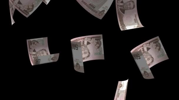 Falling South Korea Money Bankjegy 5000 Won Animation Háttér — Stock videók