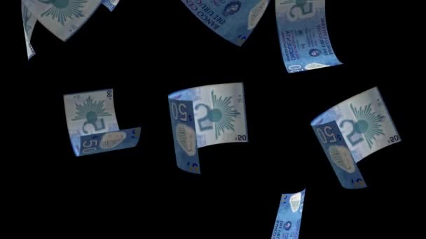 Caindo Uruguai Dinheiro Notas Animação Fundo — Vídeo de Stock