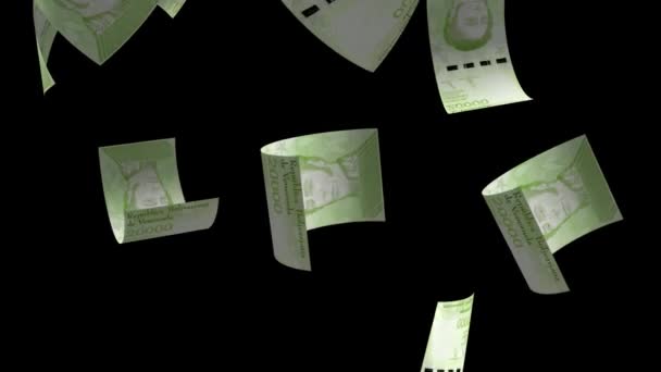 Padající Venezuela Peníze Bankovky Animace Pozadí — Stock video