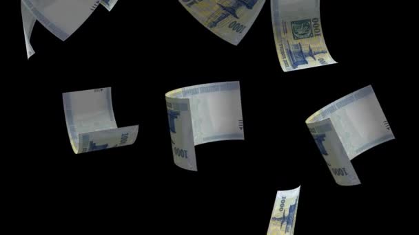 Hungria Dinheiro Queda Notas Banco Animação Fundo — Vídeo de Stock