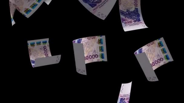 Нигер Падая Деньги Банкноты Анимационный Фон — стоковое видео