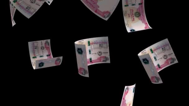 Emirati Arabi Uniti Caduta Denaro Banconote Animazione Background — Video Stock