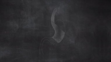 Kadın Rahim Anatomisi Elleri Halka Tahtasına Çizildi