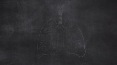 Kadın Rahim Anatomisi Elleri Halka Tahtasına Çizildi