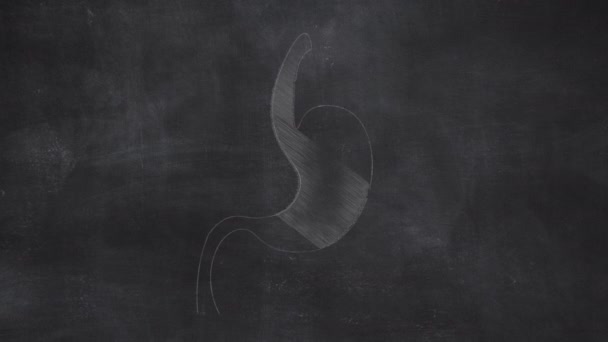Kvinnelig Uterus Atomy Hånd Tegnet Chalkboard – stockvideo