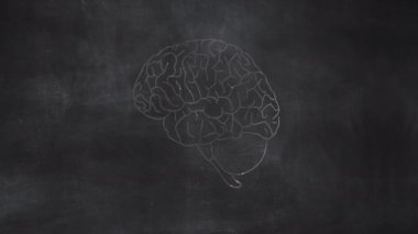 Kadın Rahim Anatomisi Elleri Halka Tahtasına Çizildi