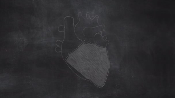 黒板に描かれた女子宮解剖学の手 — ストック動画
