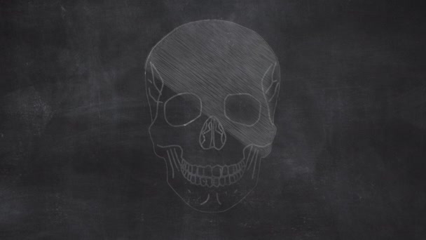 Human Cranial Bones Anatomy Hand Drawn Chalkboard — Vídeo de Stock