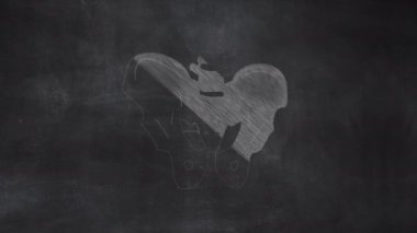 İnsan Kemikli Pelvis Anatomi Elleri Halka tahtasına Çizildi