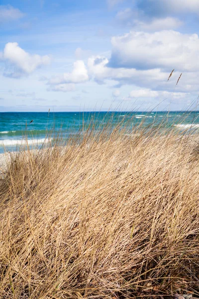 Baltische Strand Een Prachtig Strand Duinen Van Noordzee — Stockfoto