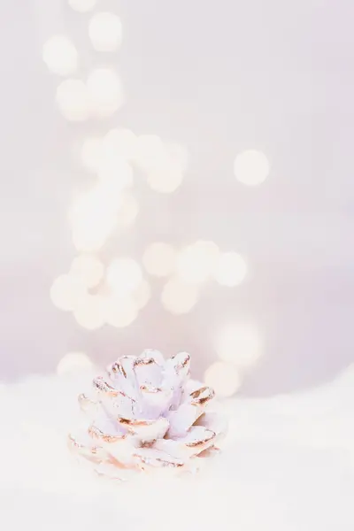 Hermosas Flores Rosadas Sobre Fondo Blanco Fotos de stock libres de derechos