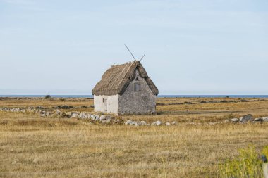 Arka planda Gotland 'daki eski kireçtaşı ev var.