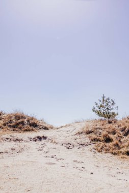 yaz arkaplanı kumları mavi gökyüzüne karşı