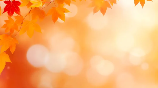 ボケとぼやけの赤い黄色とオレンジの紅葉で秋の背景を防ぎました 抽象的なイラストレーション — ストック写真