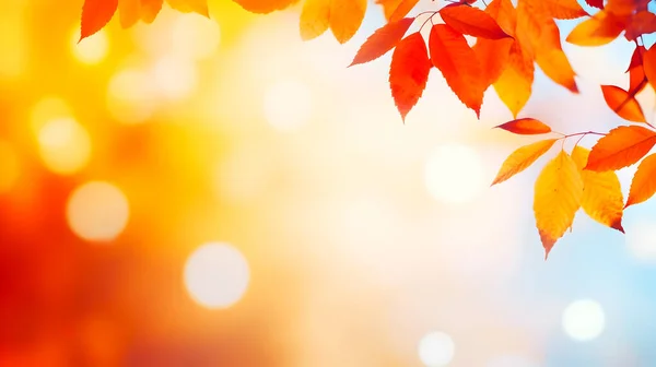 Bokeh ve bulanık kırmızı sarı ve turuncu sonbahar yaprakları ile odaklanmış sonbahar arkaplanı. soyut illüstrasyon